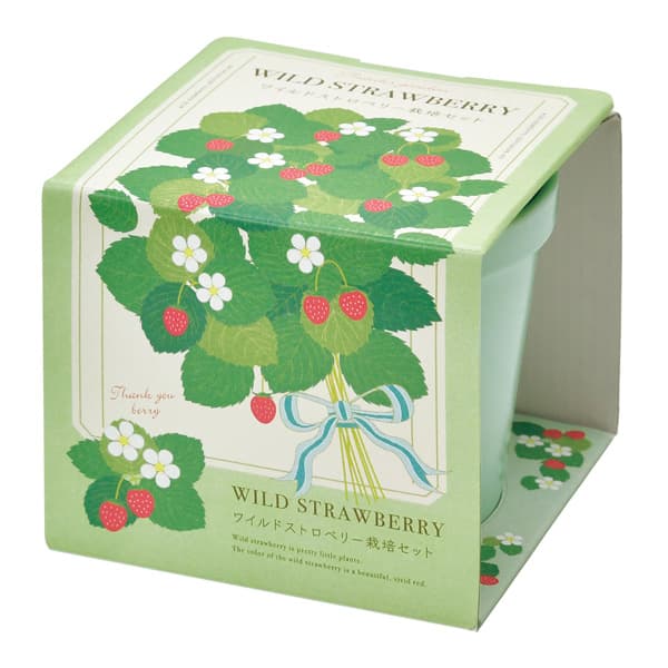 園芸ネット本店｜[ギフトに]栽培キット：サンクスガーデン「ワイルド