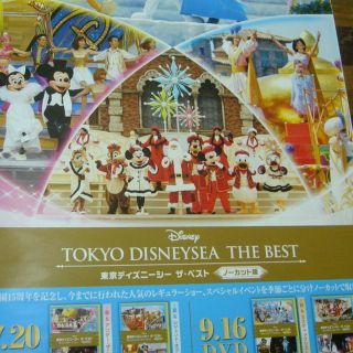 貴重レア B2大 ポスター 東京ディズニーランド ディズニーシーの通販