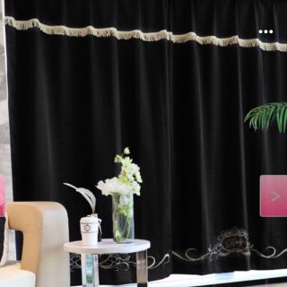 Rady（カーテン）のフリマアイテム一覧