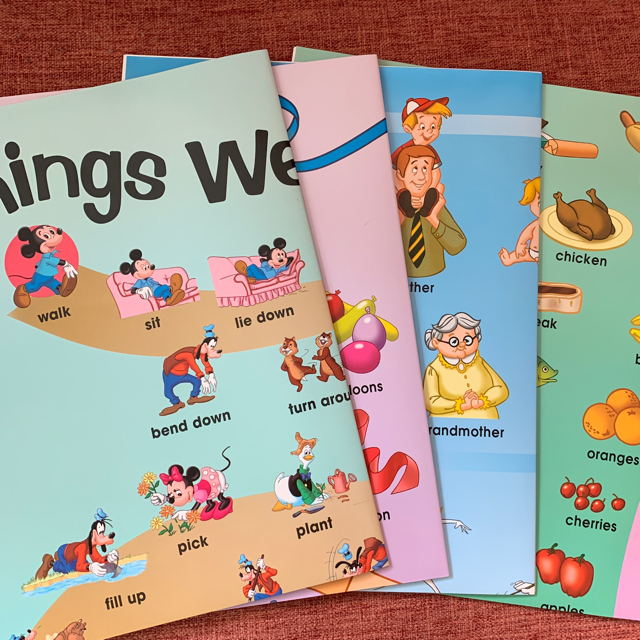 DWE シングアロング 絵辞書ポスター 4枚の通販 by umeki｜ラクマ