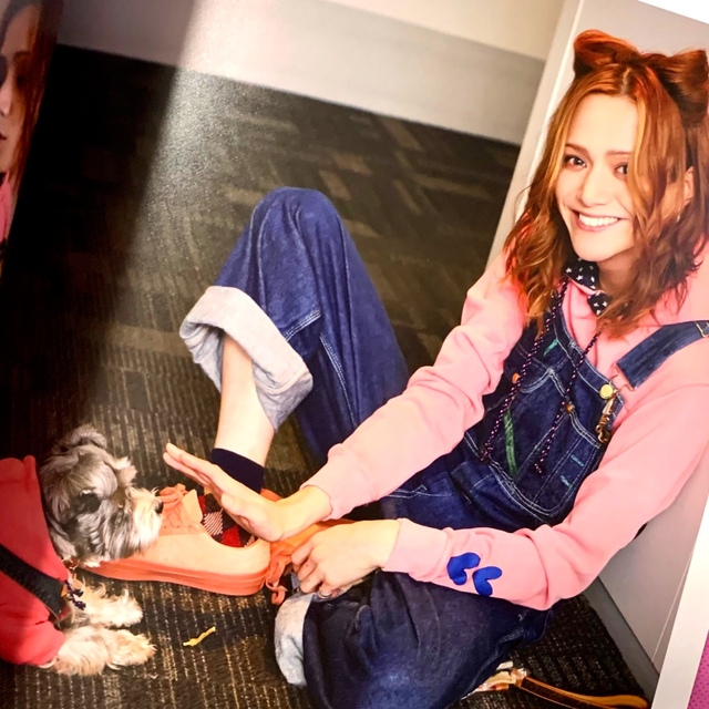 三浦涼介、写真集、朝ステ公式ファンブック、ブロマイド、クリア