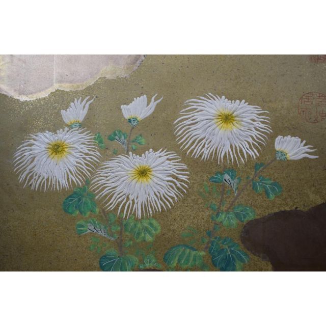 模写】伊藤若冲/菊図/屏風ハガシ/六曲用マクリです/掛軸☆宝船☆Z-369