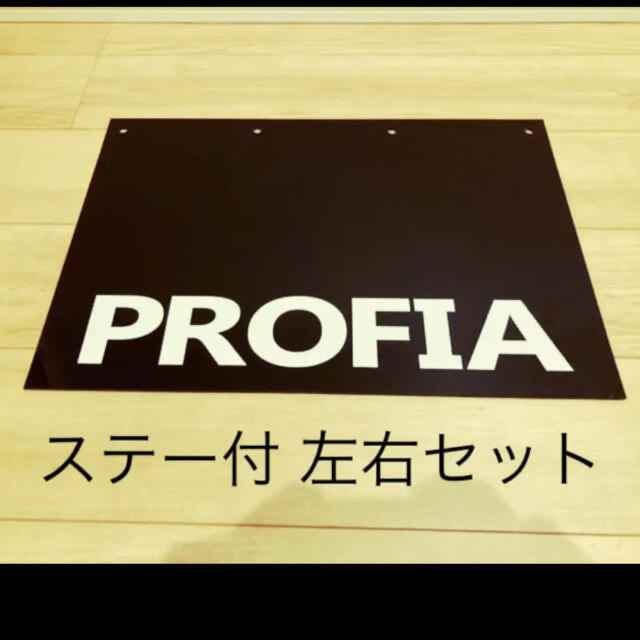 17プロフィア フロント泥よけ ステー付きセットの通販 by MODBOX