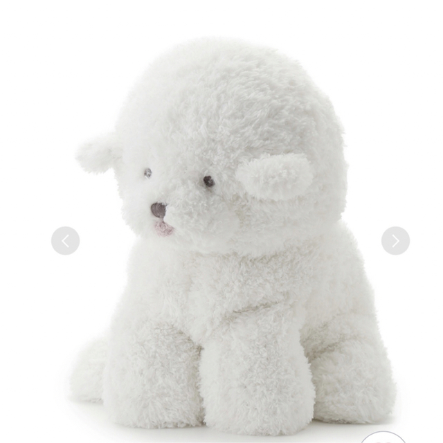 gelato pique - 【新品】ジェラートピケ ビションフリーゼ ティッシュ