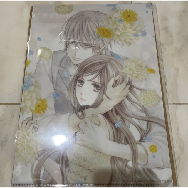 ヴァンパイア騎士 クリアファイルの通販 by sere 断捨離中(^^)｜ラクマ