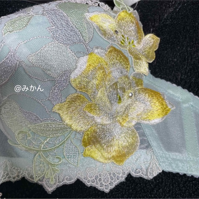 Wacoal - サルート56グループPアップブラソングセット(メロン)の通販