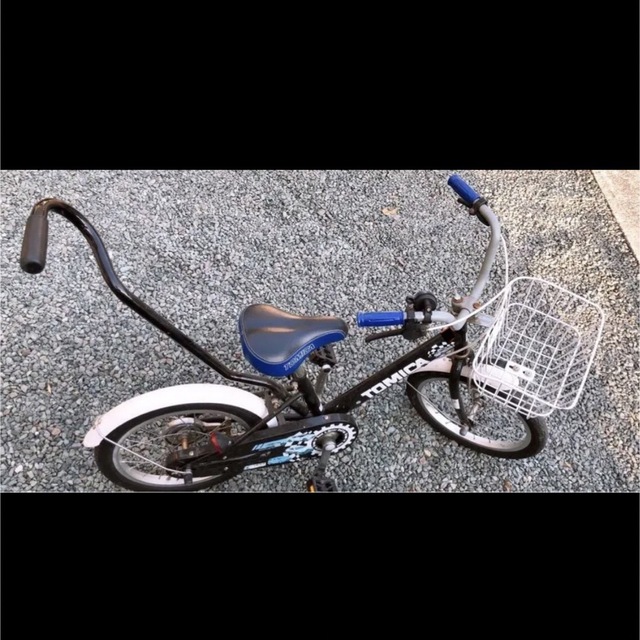 Takara Tomy - 【美品】*.+゜トイザらス限定❣️*.+ 補助輪付き