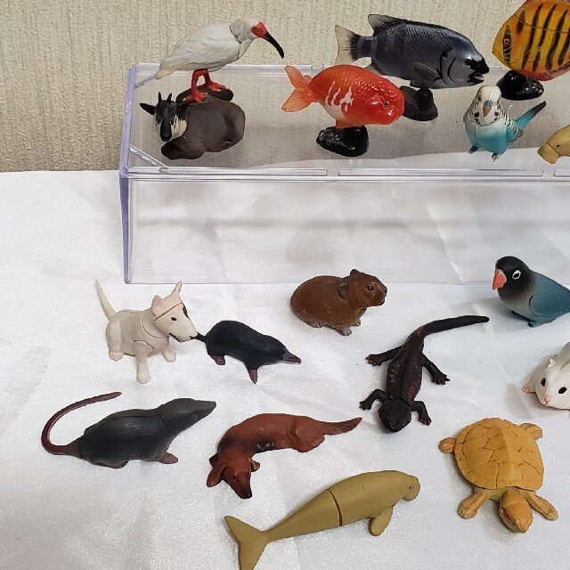 海洋堂 - チョコエッグ 日本の動物 シークレット ツチノコ フィギュア