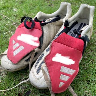 1271510498.jpg?1625472015