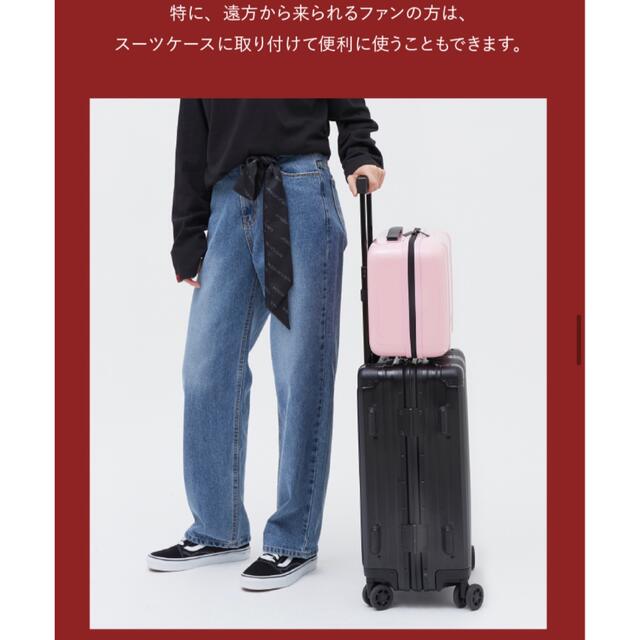 SEVENTEEN - SEVENTEEN ミニラゲッジケース スーツケースの通販 by