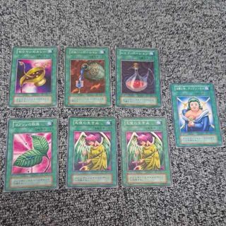 2328808476.jpg?1736304799