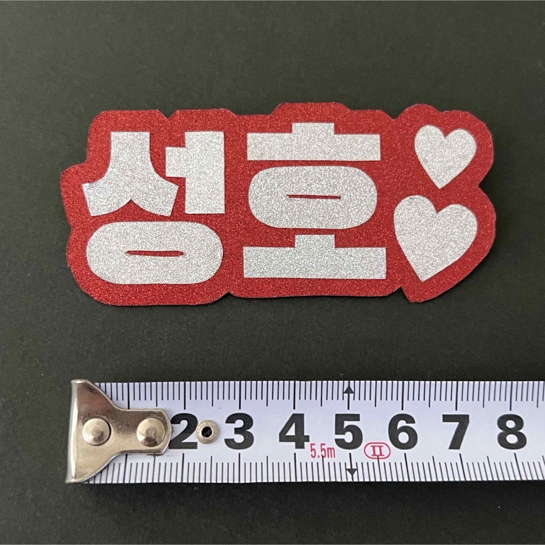 BOYNEXTDOOR - BOYNEXTDOOR ソンホ ネームボード ペンライト ボネクド