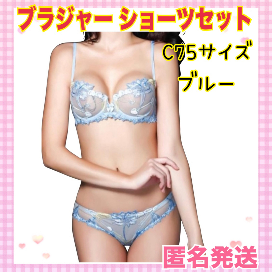 ✨大特価✨ブラジャー ショーツセット セクシー シースルー 花柄刺繍