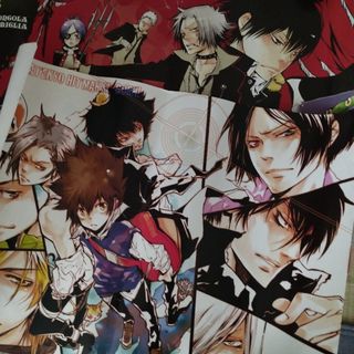 家庭教師ヒットマンREBORN!ポスター2枚の通販 by ふるべるフリマ｜ラクマ