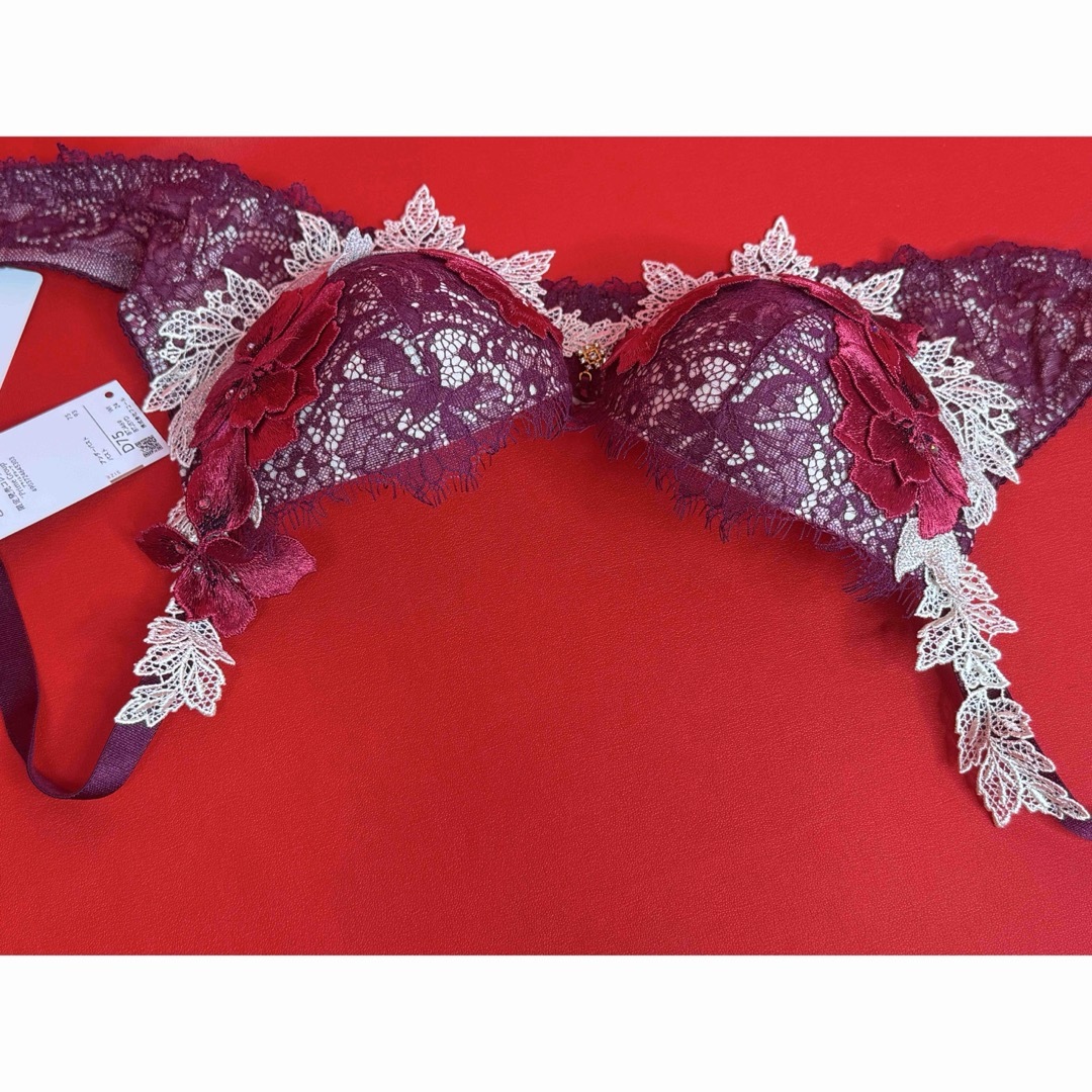 Wacoal - サルート 69グループ メキシコ D75&ソングM WI 店舗限定