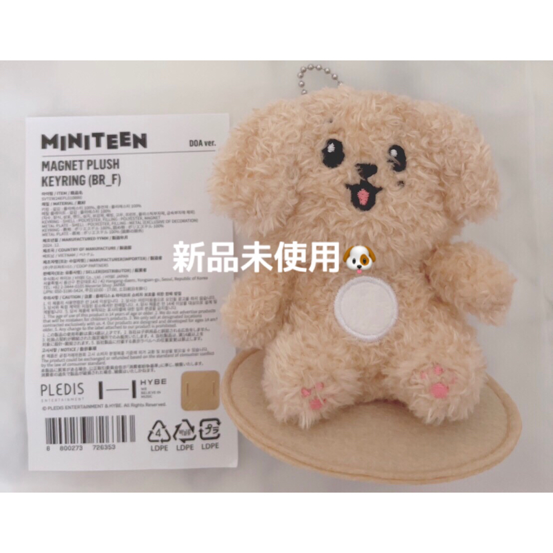 SEVENTEEN - SEVENTEEN セブチ MINITEEN キーリング DOA ドア ドギョム