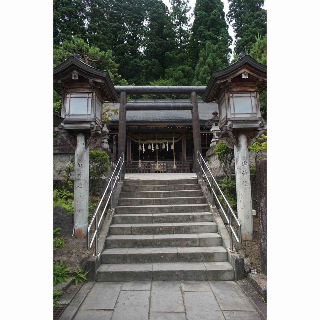 状態要確認 作例付き SUN 24mm f2.8 管mprの通販 by けん's shop｜ラクマ