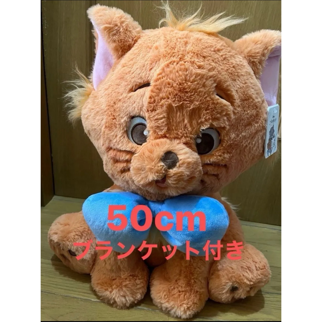 Disney - トゥルーズ☆ぬいぐるみ☆ブランケット付き☆約50cm