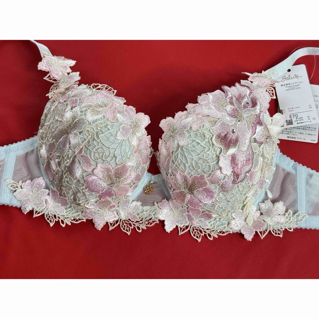 サルート 89グループ 夕顔 E70&ソングM SX 店舗限定プライム