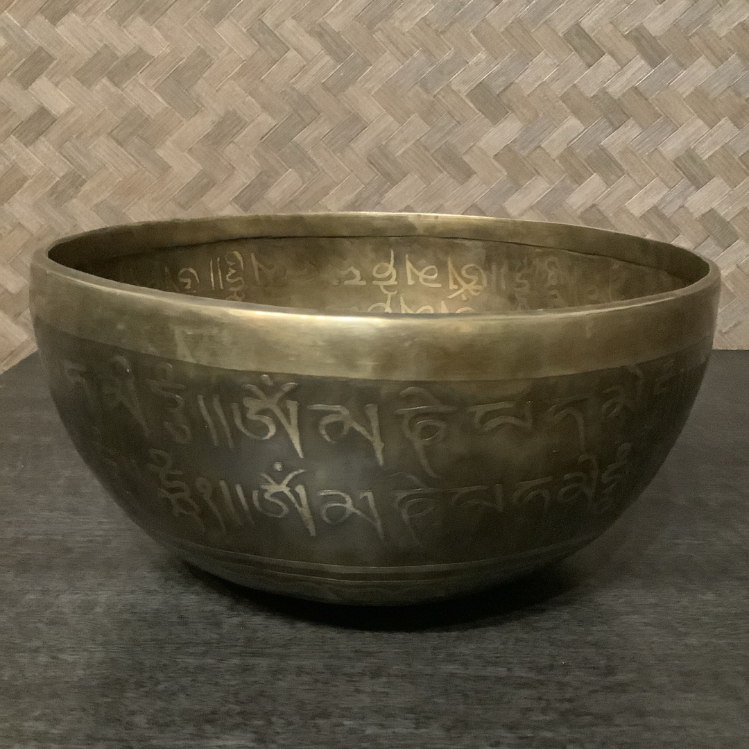 no11 チベット産 シンギングボウル 新品 チベタンボウル 22cmの通販 by