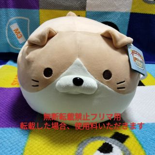 ドウシシャ - 【レア/ギフトにも】ブース だるいぬ団 もちもち