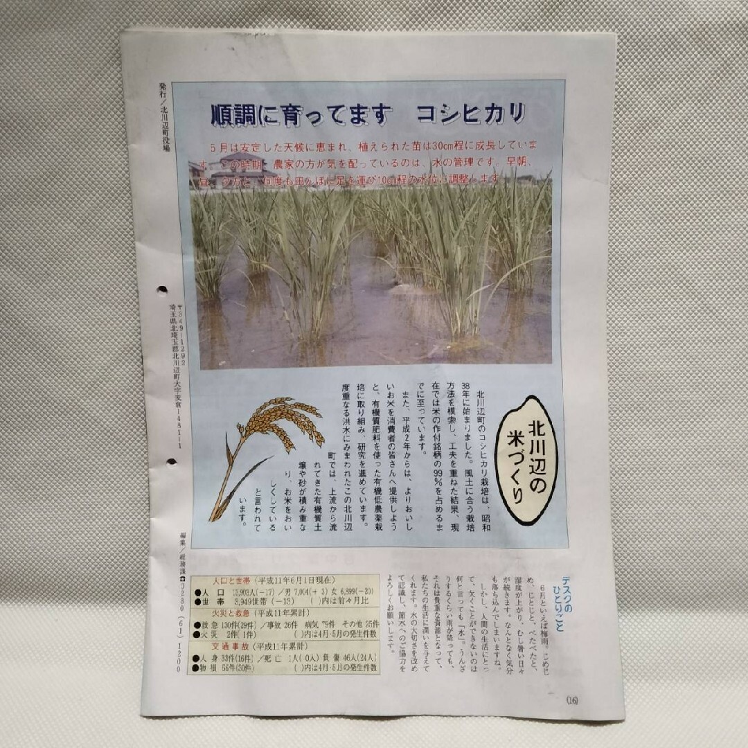 3103 北川辺町役場発行 1999年6月号 広報誌 激レアの通販 by まおー's