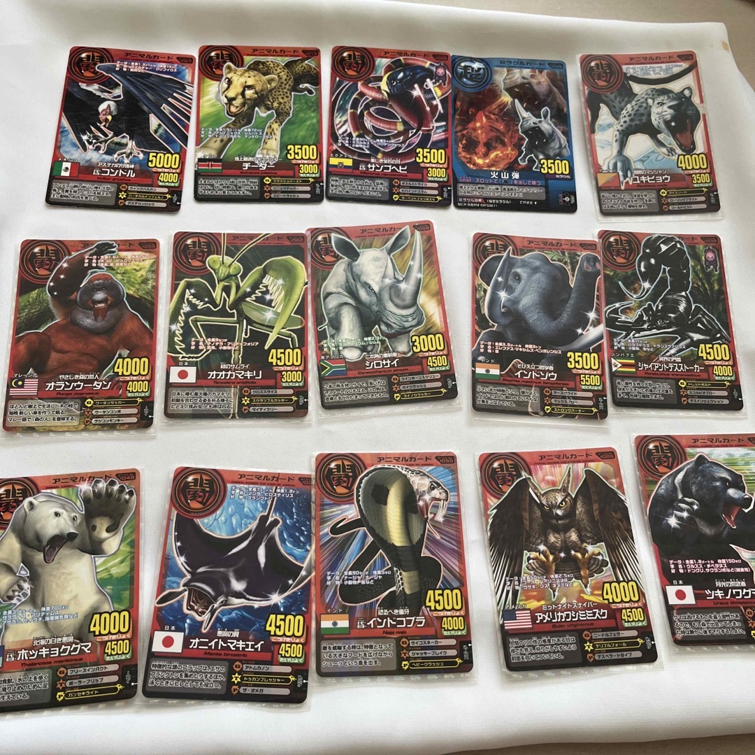 本日価格】 2. アニマルカイザーの通販 by mimi（みぃみぃ）shop｜ラクマ