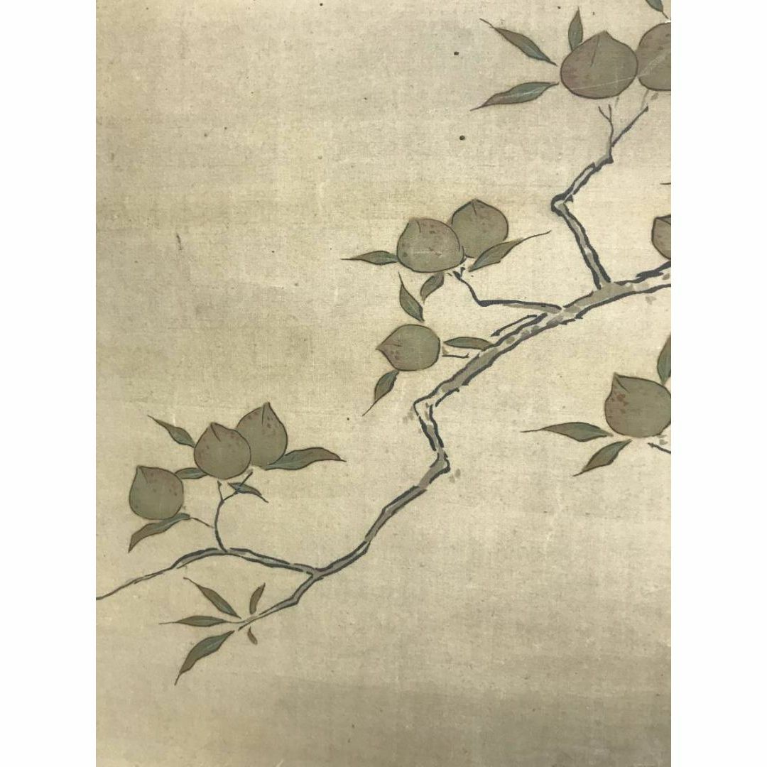 真作】狩野探信/桃仙人図/人物図/掛軸☆宝船☆AC-168の通販 by 掛軸