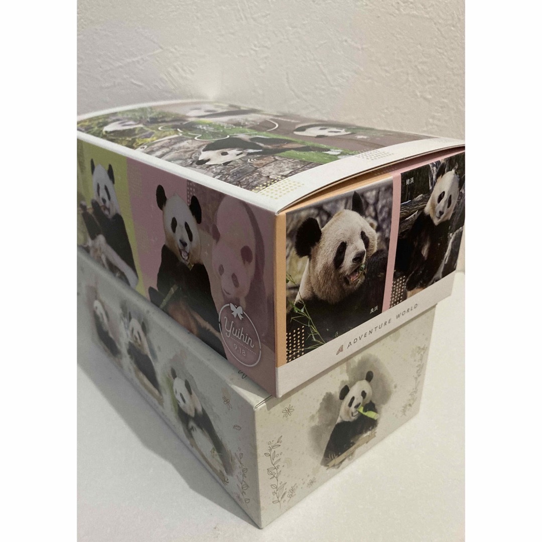 アドベンチャーワールド パンダファミリー 不織布マスク2種 永明 桜浜