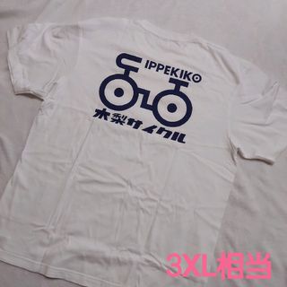 2300384836.jpg?1719123065