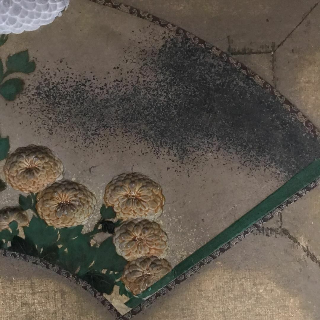 尾形光琳/菊花之図/扇面菊図/日本画/額/掛軸/掛軸/名家伝来/Y-838の