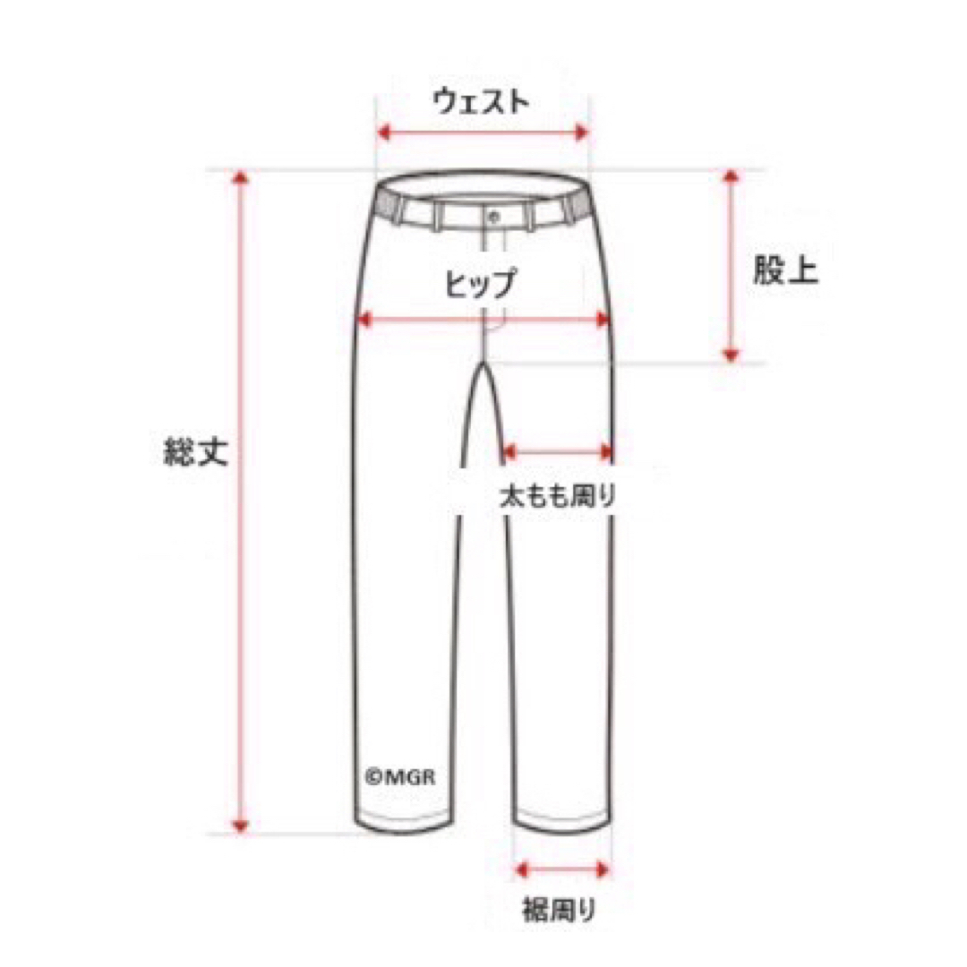 THE NORTH FACE - 新品 ノースフェイス EASY RUN PANTS ズボン