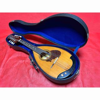 マンドリンの中古フリマアイテム一覧