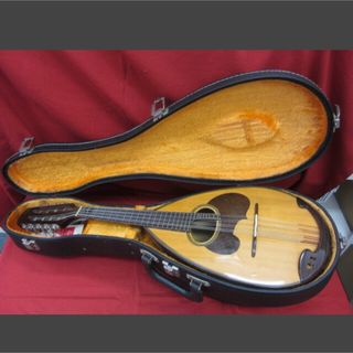 マンドリンの中古フリマアイテム一覧