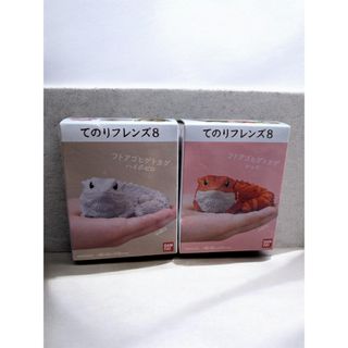 中国古銭 黄銅貨 奉天省造光緒元寶 甲辰 當制錢廿文 NGC VF25 本物の