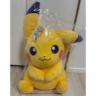 ポケモン - ※ご専用※ポケモンセンター限定 ぬいぐるみ へんしん