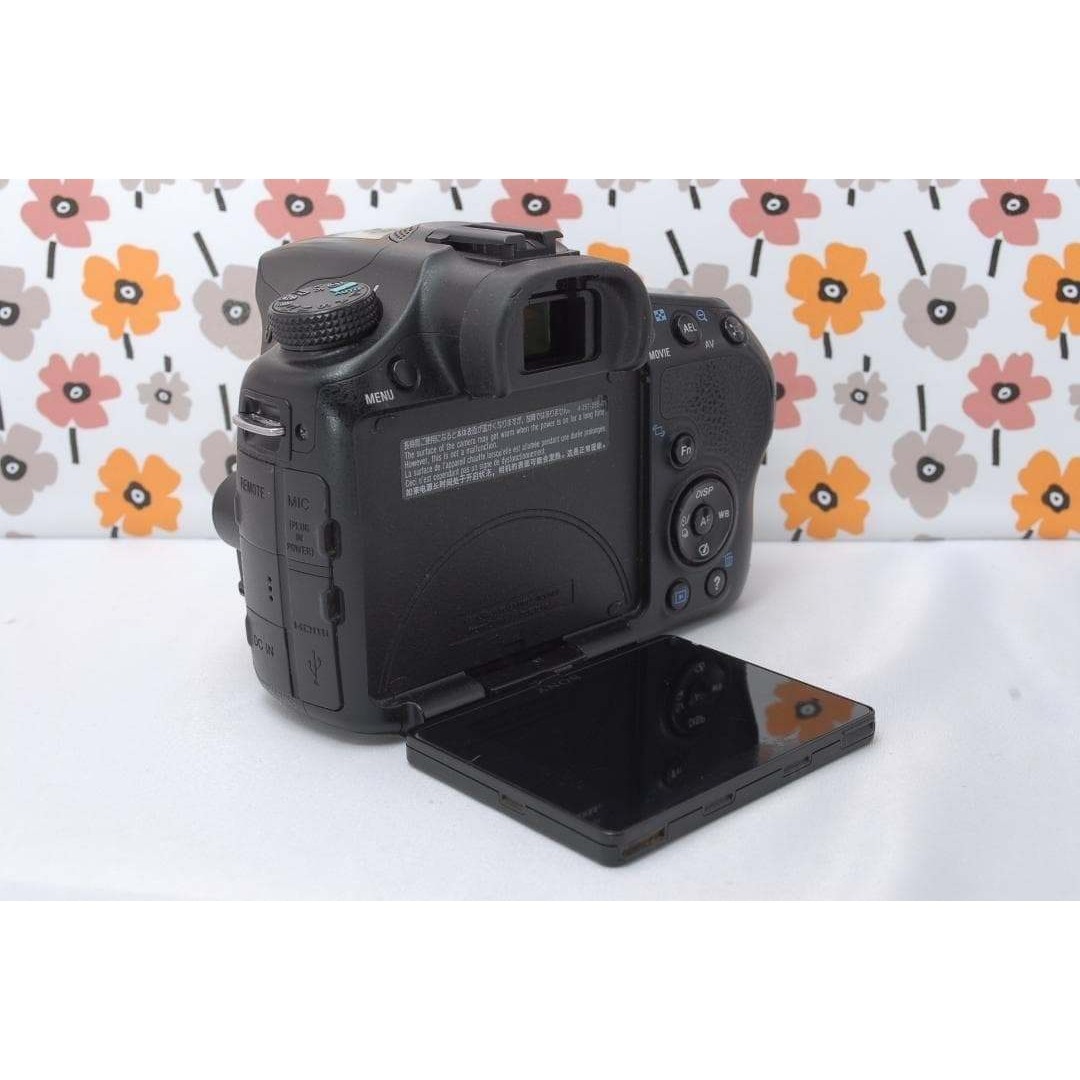 SONY - ❤SONY α65❤トリプルレンズ❤超望遠❤超高画質❤1秒10コマの