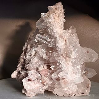 海の標本箱【貝殻標本】②の通販 by てぃちゃん's shop｜ラクマ