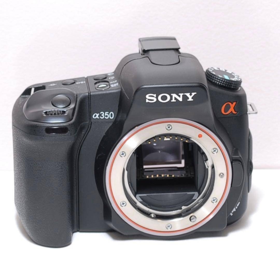 SONY - ✨届いたらすぐに使える✨ SONY α350✨ ダブルレンズ✨入門