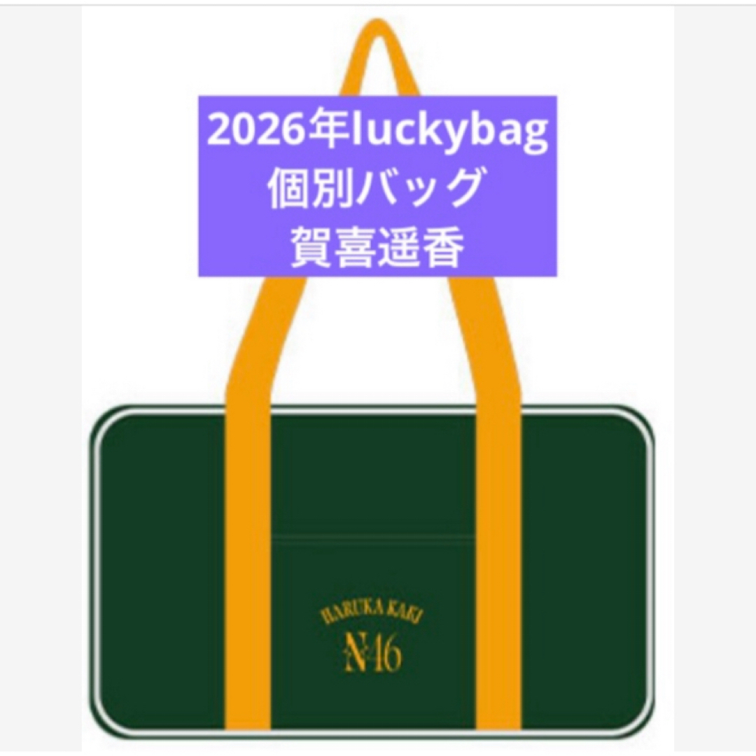 乃木坂46 - 乃木坂46 賀喜遥香 限定 個別バッグ バック 2026 luckybag