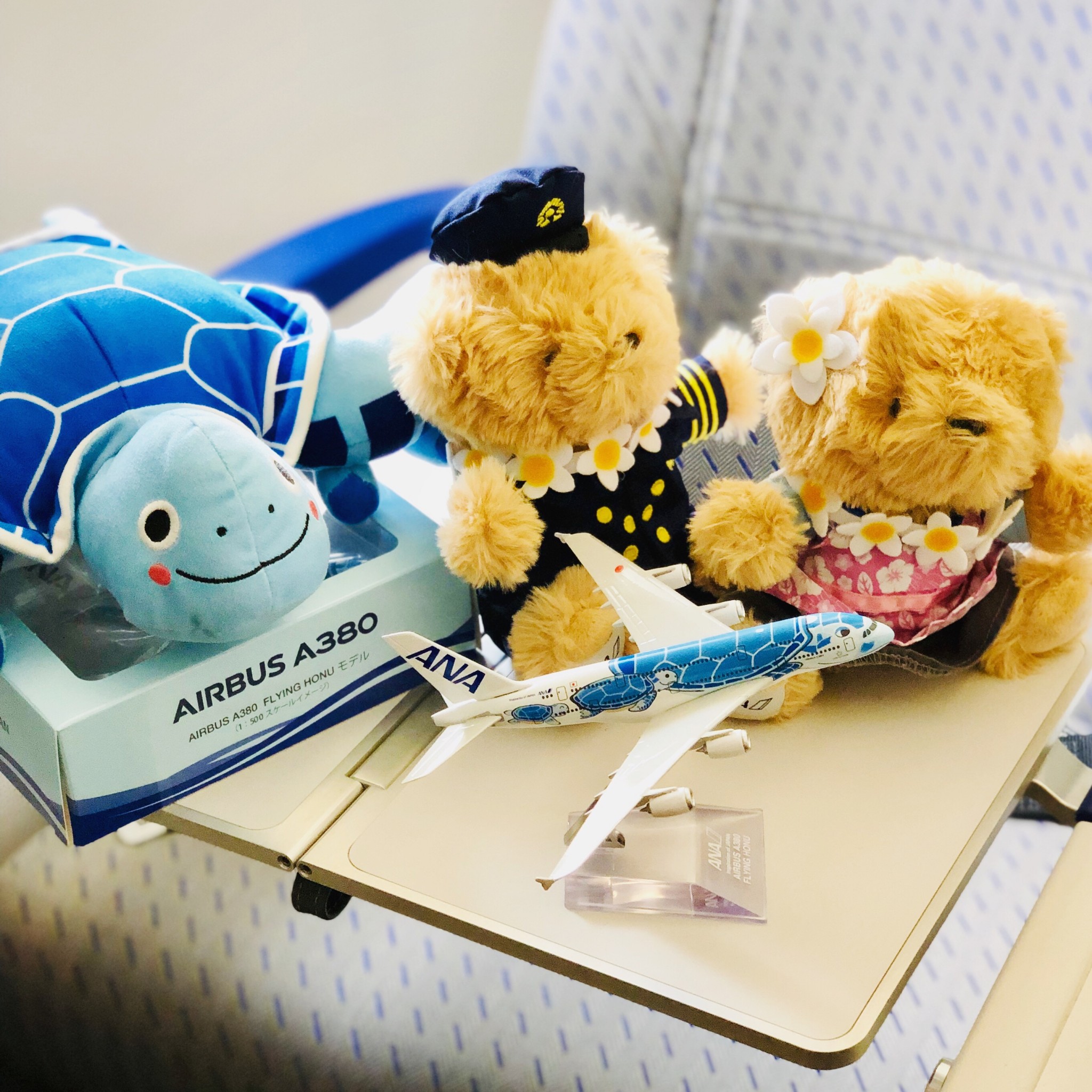 空飛ぶウミガメ」に乗ってハワイへ！世界最大の旅客機A380型〈FLYING