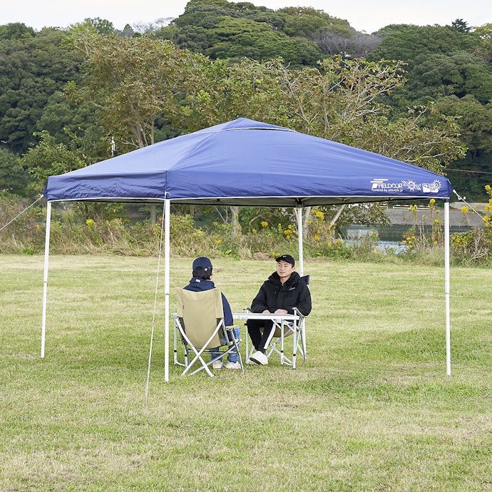 タープテント センターロック 3段階調節 組立簡単 2.5x2.5m タープ