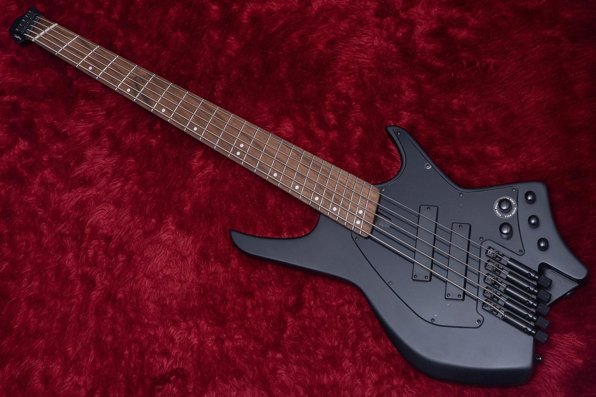 new】HEX Guitars / NB505 Black - Geek IN Box