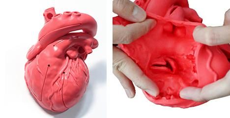 Cardio Model E.V.：赤（XC-03T）_購入 | 株式会社クロスメディカル