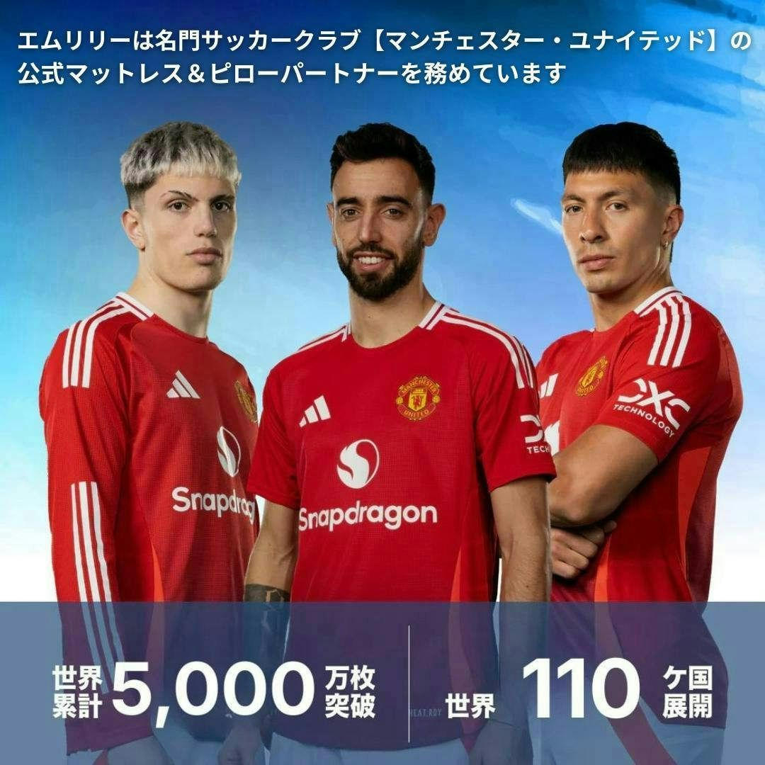 送料無料】エムリリー 枕 【重力吸収まくら】首肩サポート とろ～り 低