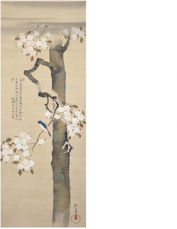 琳派展20 抱一の花・其一の鳥」細見美術館 ｜ 和樂web 美の国ニッポン