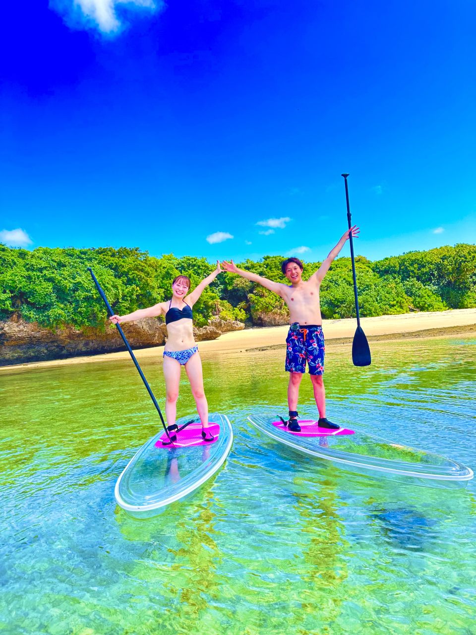 石垣島・少人数】ミシュランガイド3つ星に認定《川平湾》クリアサップ