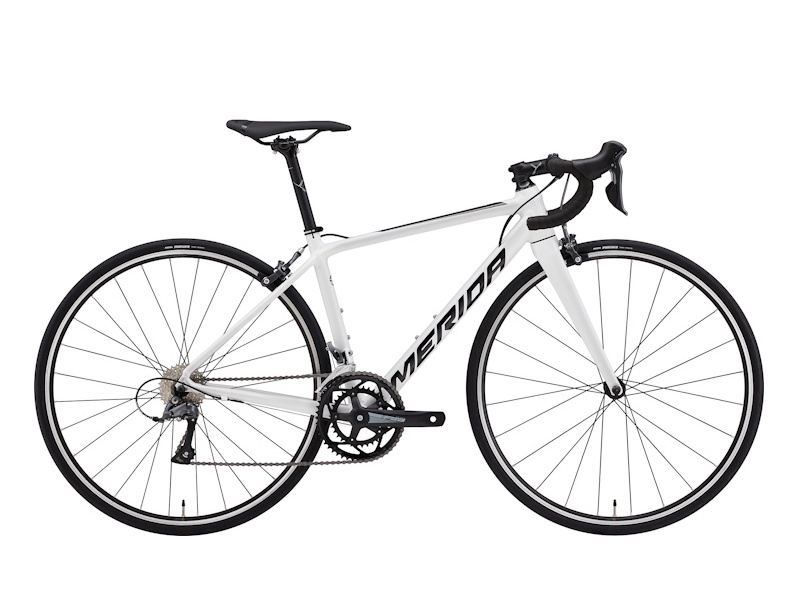 2025 MERIDA (メリダ) SCULTURA RIM 100 (スクルトゥーラ リム 100