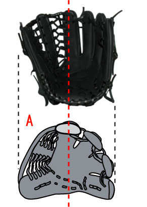 保存版！グローブ型付けの前に「良いグローブの型」の見極め方 ｜ 究極