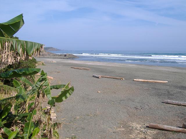 金ヶ浜（宮崎県） | 【ロケ地 検索】全国ロケーションデータベース